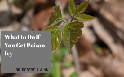 What to Do if You Get Poison Ivy