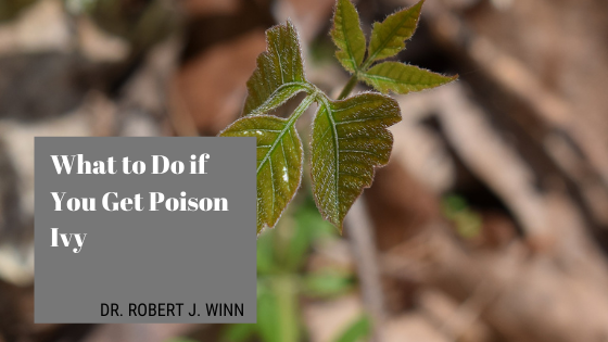 What To Do If You Get Poison Ivy Dr. Robert J Winn